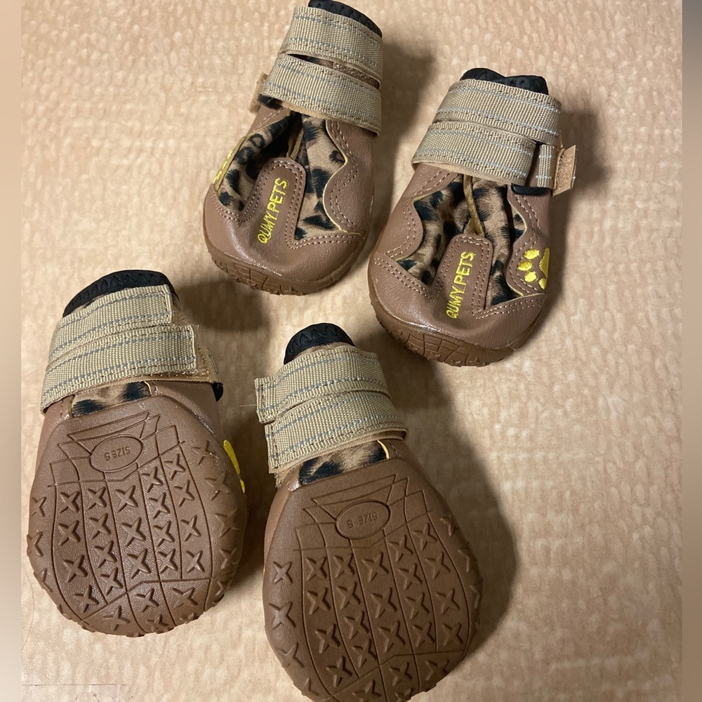 Dog Booties!